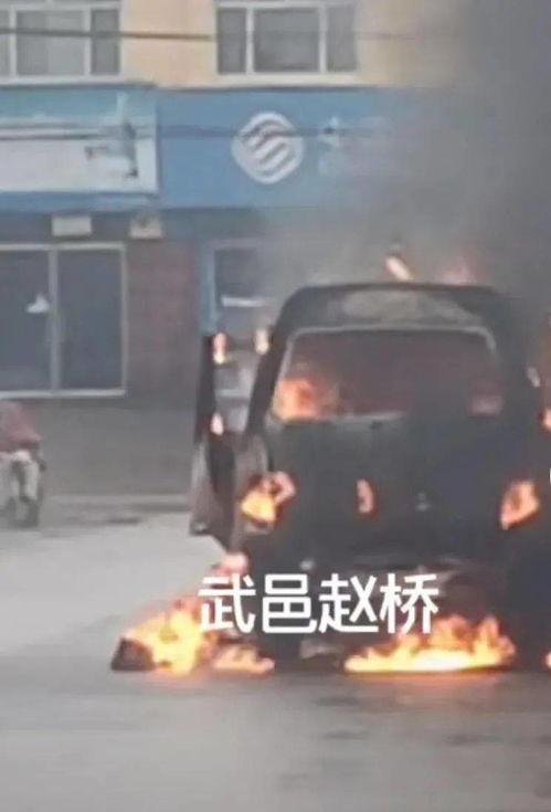 衡水疫情最新爆料,追踪病毒变异，共筑防疫防线